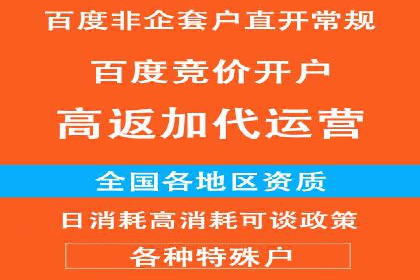 百度推广的成功案例：从零到一的突破